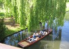 Cambridge
