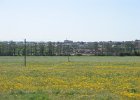 IMG 3511