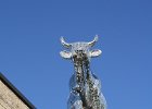 IMG 2570