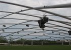 IMG 0391