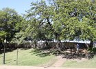 IMG 2526