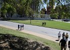 IMG 2530