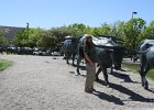 IMG 2533