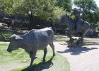 IMG 2535