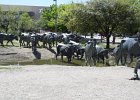 IMG 2536