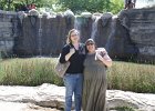 IMG 2538