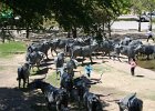IMG 2540