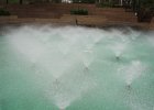 IMG 2587