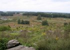 IMG 0759