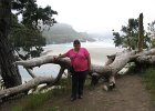 IMG 2566