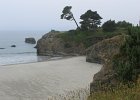 IMG 2569