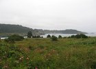 IMG 2573