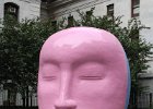 IMG 0809