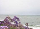 sd37