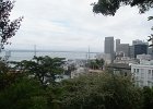 P6010019