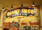 IMG 0673