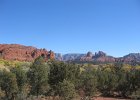 IMG 3132