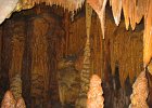 IMG 3214