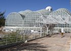 IMG 0292