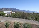 IMG 0296