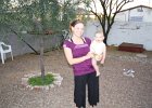 IMG 0307