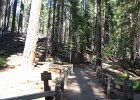 IMG 1151