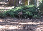 IMG 1157