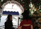 IMG 1668
