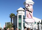 IMG 1690