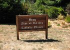 IMG 0532