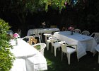 IMG 1179