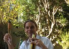 IMG 1211