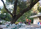 IMG 0926